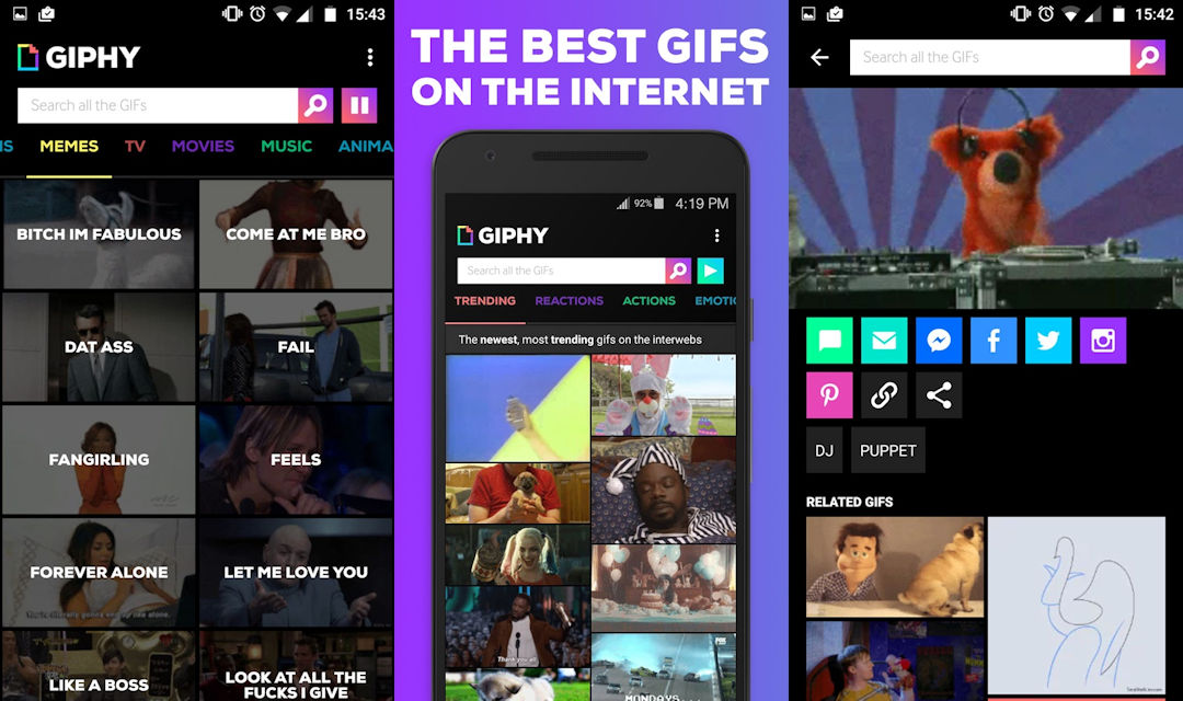 GIPHY. All the GIFS