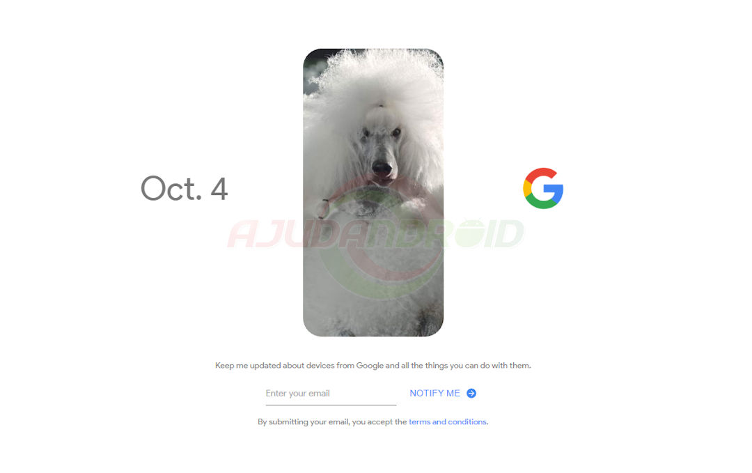 Google evento pixel