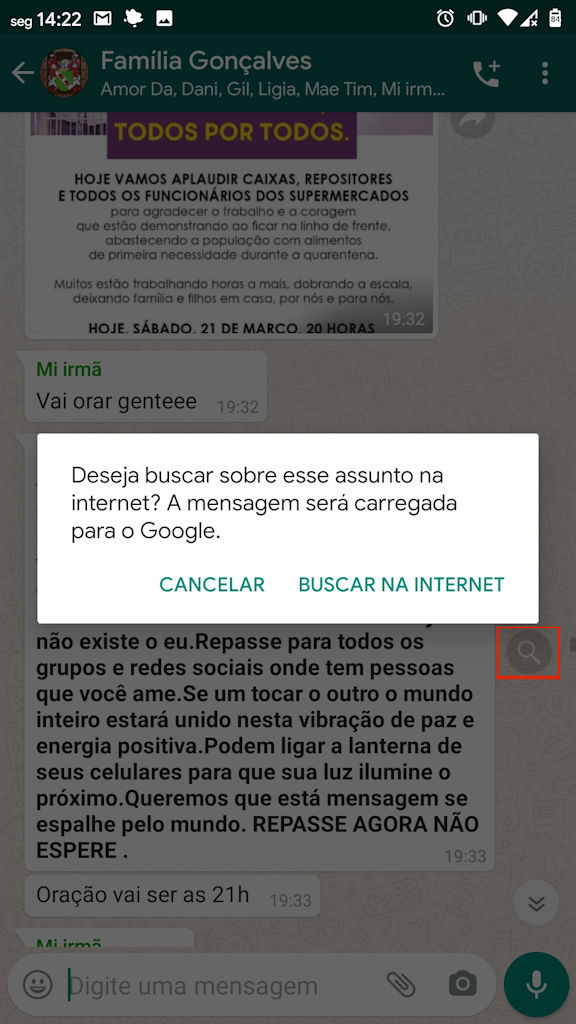 WhatsApp permite pesquisar no Google