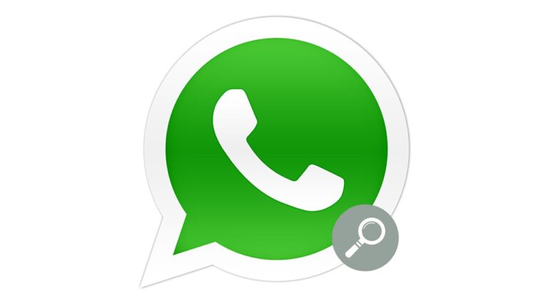 WhatsApp logo com lupa
