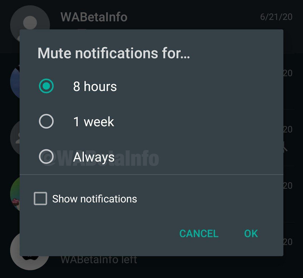 WhatsApp opção silenciar notificações de usuário ou grupo para sempre