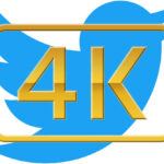 Twitter 4K logo