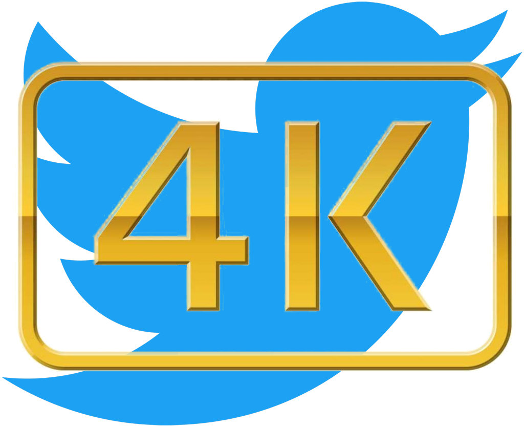 Twitter 4K logo