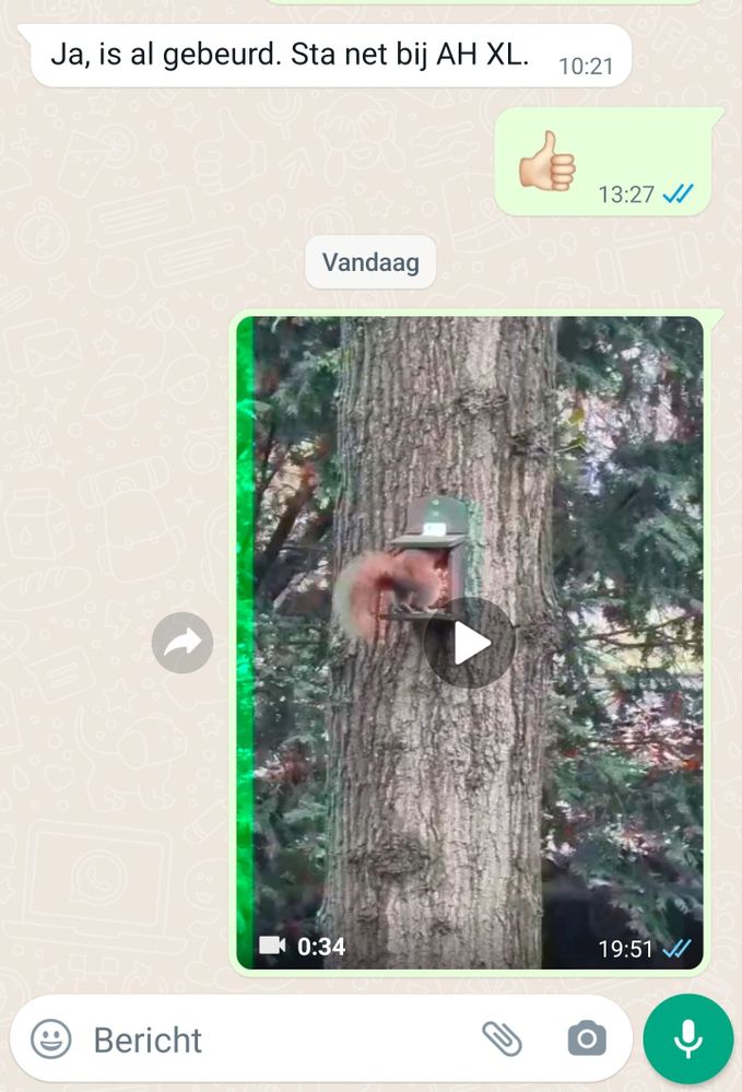 WhatsApp problema de vídeo no Android 12