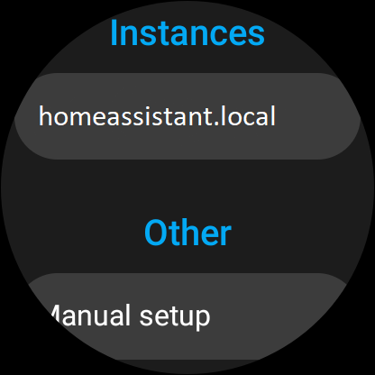 Home Assistant para Wear OS