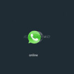 WhatsApp on-line