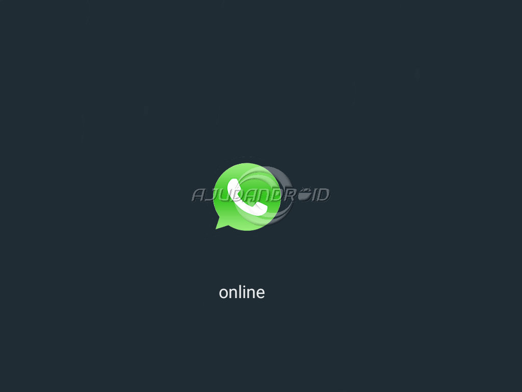 Apenas contatos do WhatsApp podem ver se você está on-line