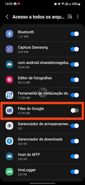 Files do Google permissão para acessar todos os arquivos