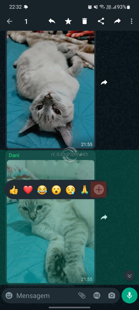 WhatsApp reações usam todos os emoji