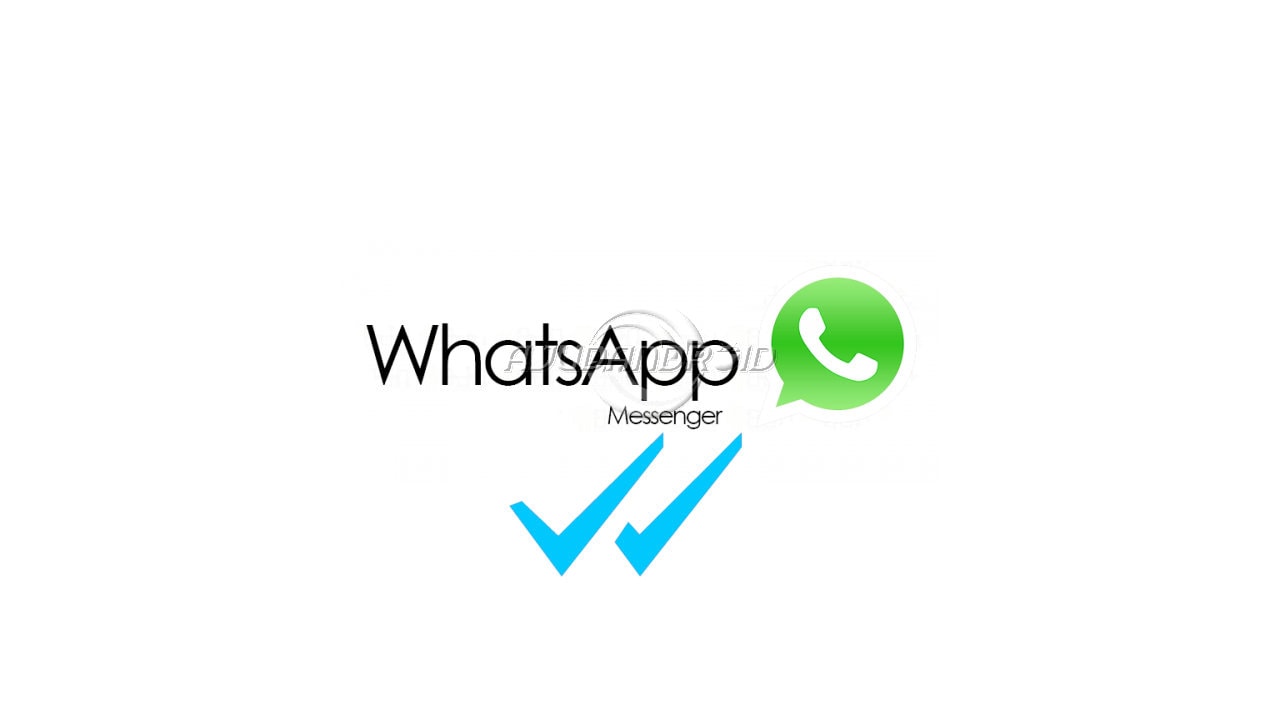 WhatsApp confirmação de leitura, tiques duplos