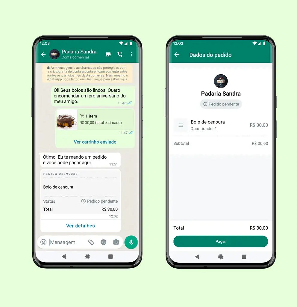 WhatsApp pagamentos para empresas