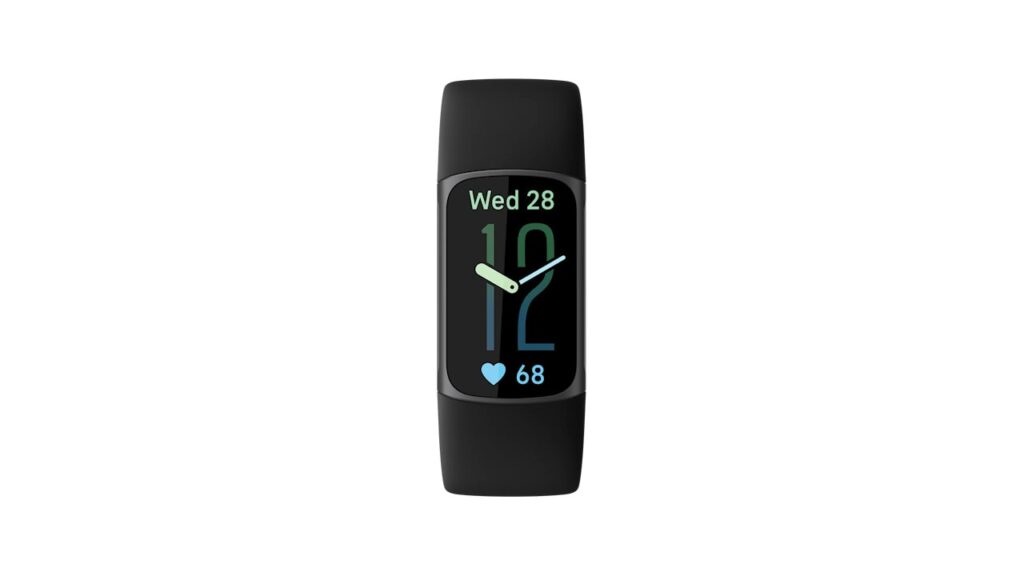 Fitbit tela inicial