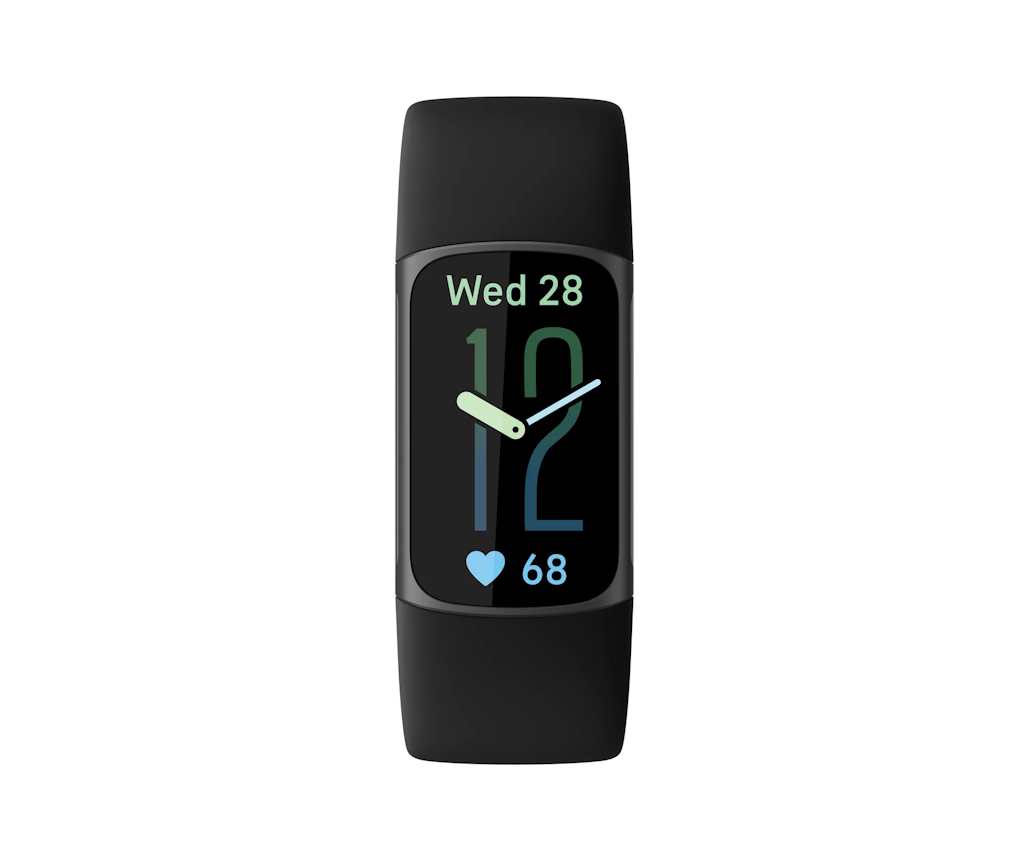 Fitbit tela inicial