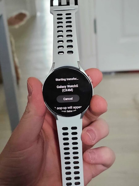 Wear OS 4 One UI 5 Watch