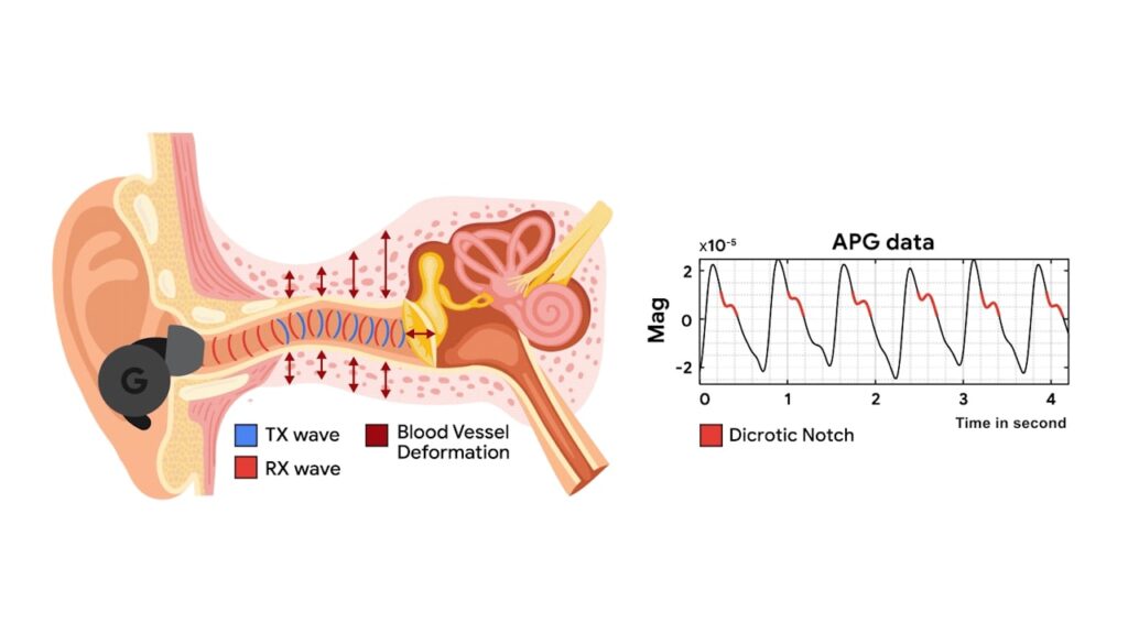 Google tecnologia APG para fones de ouvido com ANC virar medidor de frequência cardíaca 