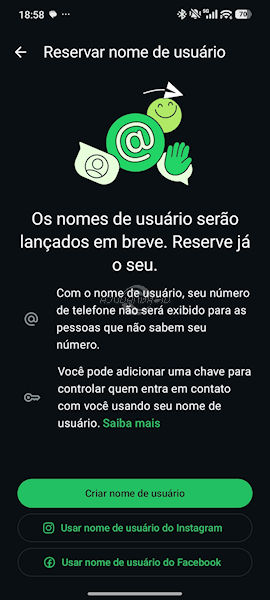 WhatsApp nomes de usuário